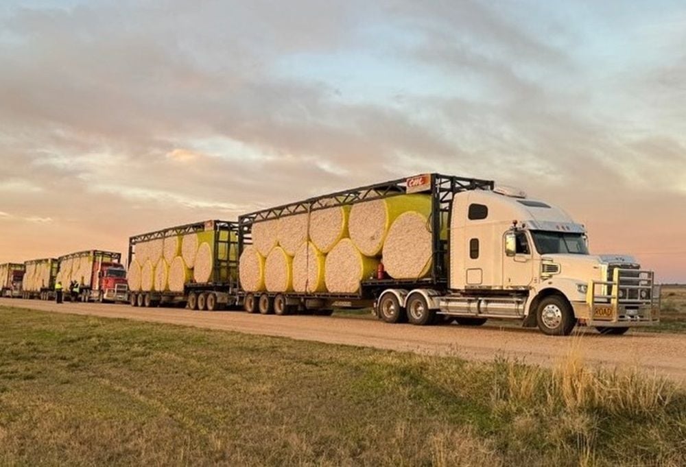 Louis Dreyfus Company looks set to stitch up Namoi Cotton takeover for $124m
