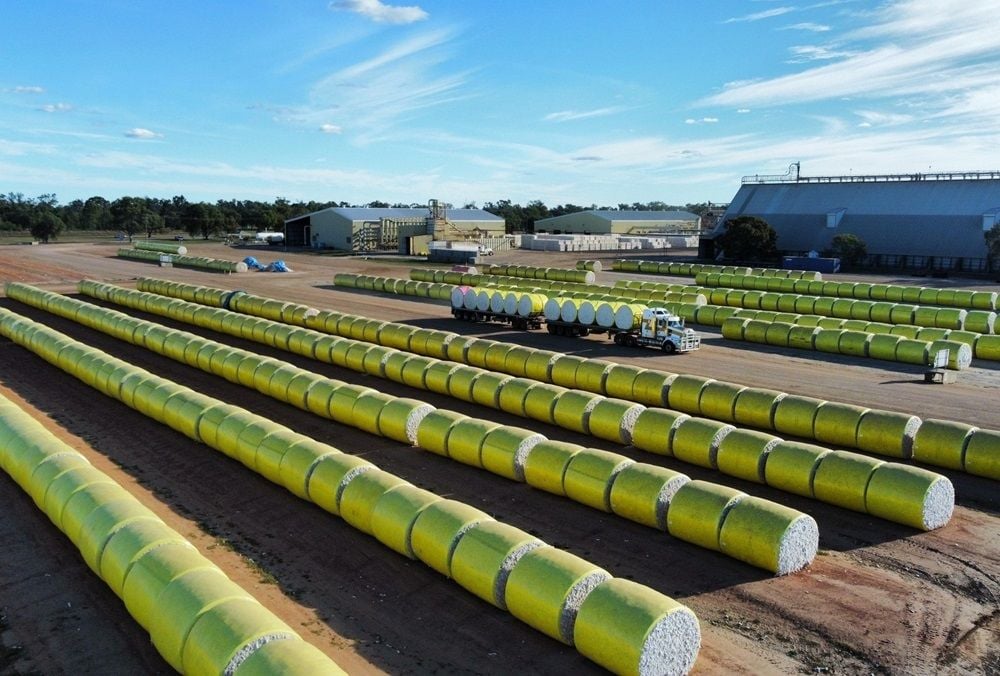 Olam Agri makes decisive play for Namoi Cotton to outbid Louis Dreyfus by $21m