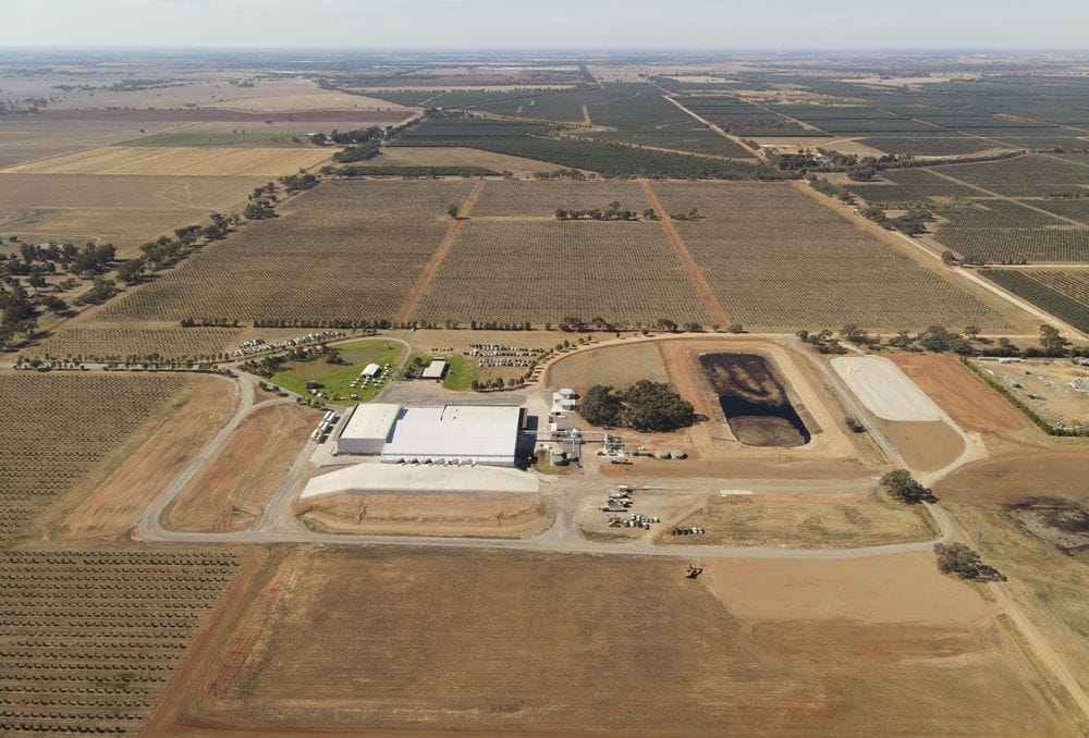 Cobram Estate’s new $35m processing mill capitalising on global shortage of olive oil