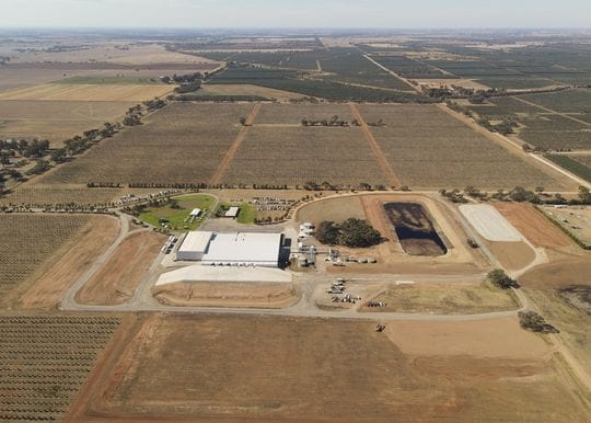 Cobram Estate’s new $35m processing mill capitalising on global shortage of olive oil