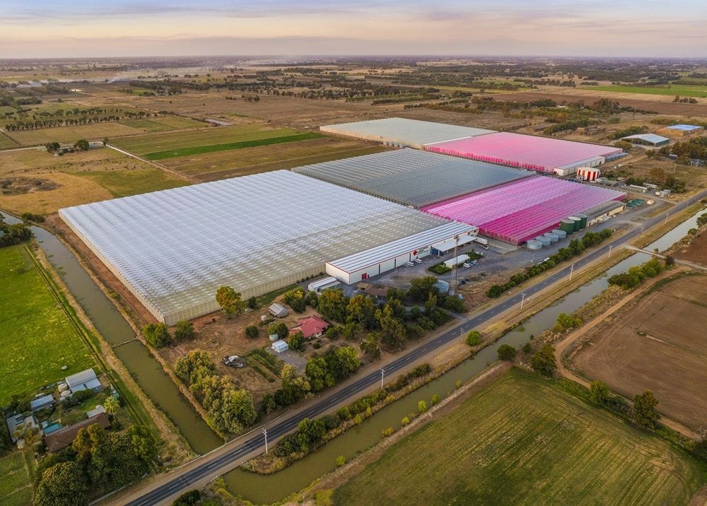 Goulburn Valley glasshouse deal boosts Centuria Agriculture Fund's portfolio to $450m