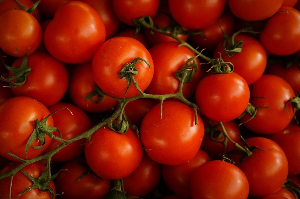 Major supermarket fruit and veg supplier Southern Cross Produce calls in administrators