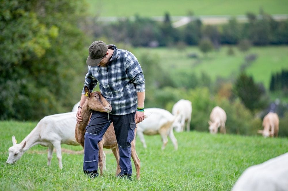 Goat's milk group Nuchev buys Adelaide health products supplier bWellness for $7m