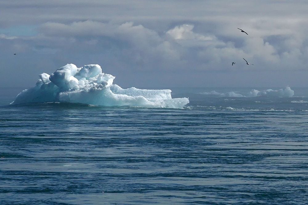 Businesses and directors could face huge penalties if they fail to disclose their climate impact