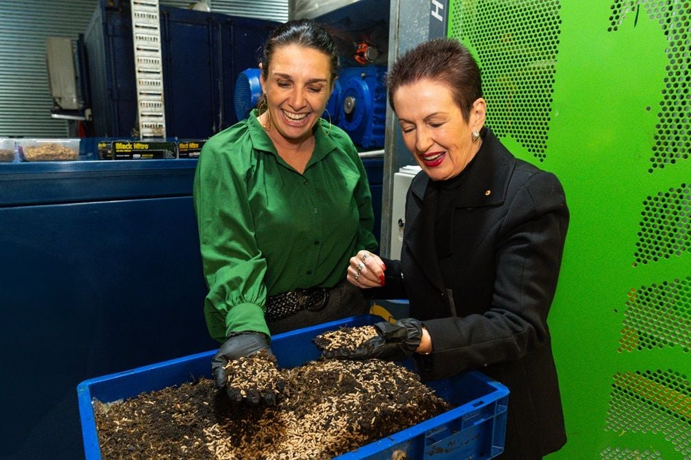 Goterra and City of Sydney to trial turning residential food waste into insect protein