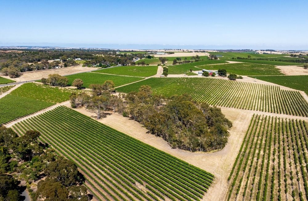 Australian Vintage sells last vestiges of its Chateau Yaldara holding to Seppeltsfield