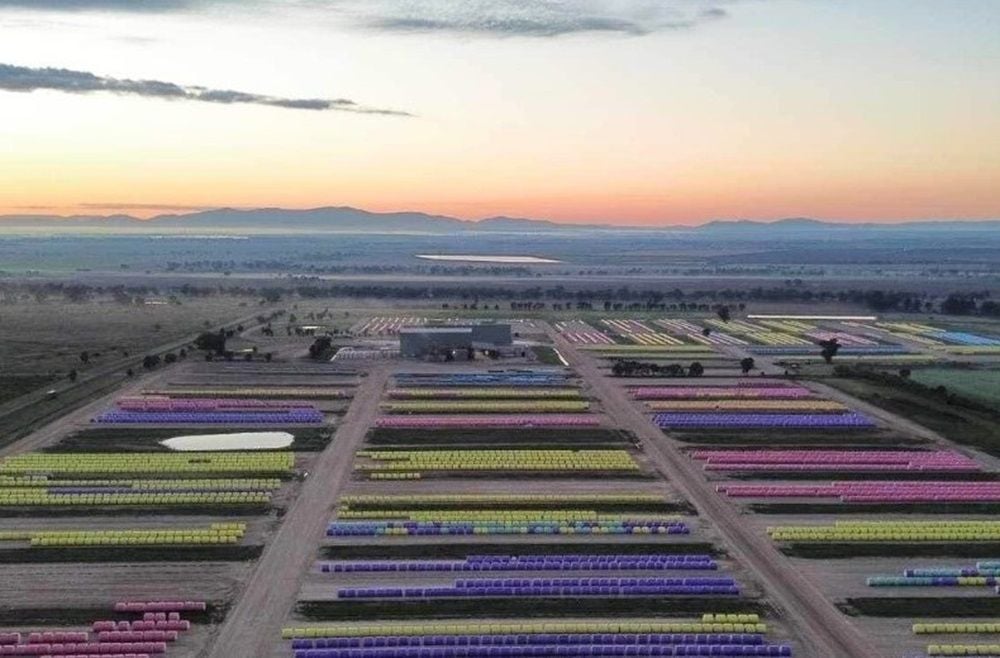 Singapore’s Louis Dreyfus Company finally wins the battle for Namoi Cotton at a hefty $158m