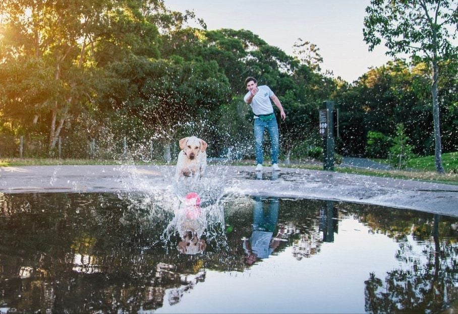 Mad Paws appoints financial advisor as suitors start sniffing around for assets