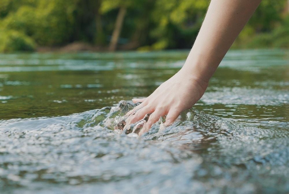 Phoslock Environmental Technologies served with class action after navigating murky waters