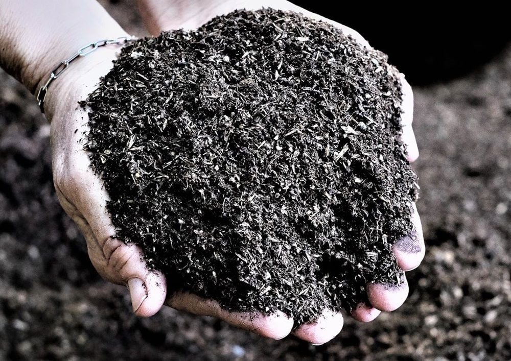 Waste-to-energy startup ARC Ento Tech raises $5m to prove technology at Sydney landfills