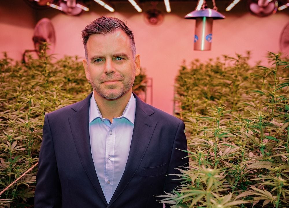 Little Green Pharma to snap up distribution partner Health House for $1.25m