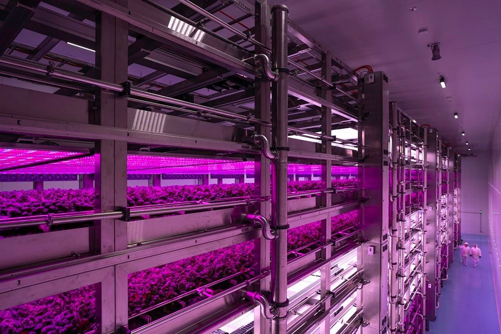 Stacked Farm scales up with $150m vertical farm in Melbourne