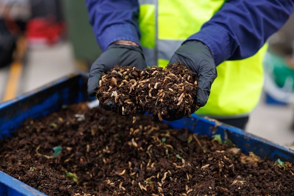 Sustainability tech Goterra’s system eats through 90 tonnes of discarded Sydney food scraps