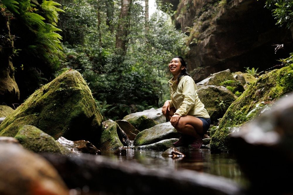 NSW tourism achieves new records as visitors spend $53 billion