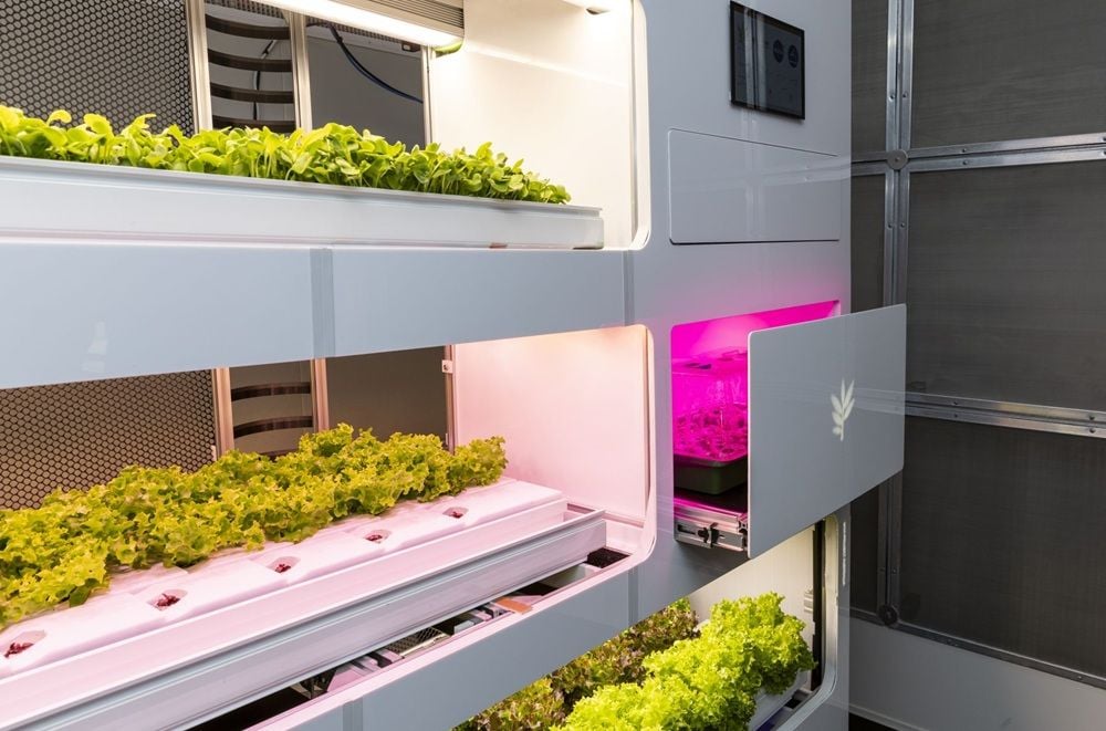 Gaia Project gets $1m boost for vertical farming tech