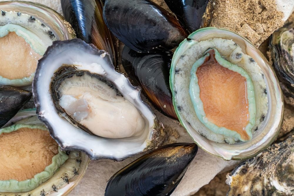 Aquaculture group Yumbah set to swallow Clean Seas Seafood as board backs $28.1m takeover