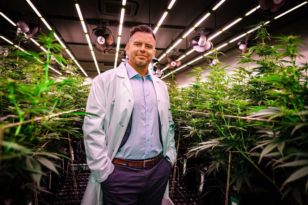 Medicinal cannabis study backed by insurer HIF and LGP delivers “clinically meaningful improvements