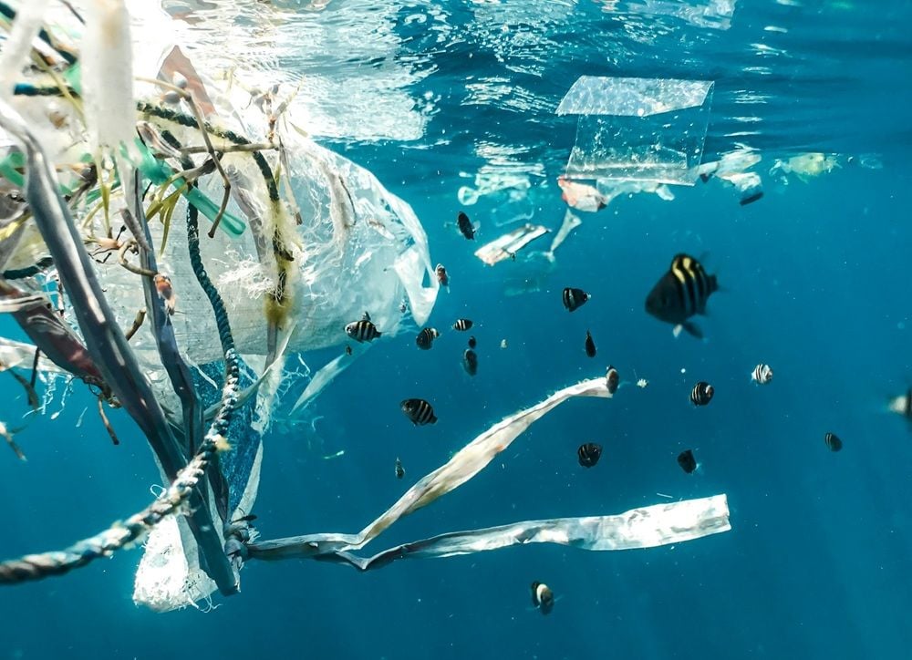 Clorox hit with $8.25m greenwashing penalty over misleading &lsquo;ocean plastic&rsquo; GLAD products