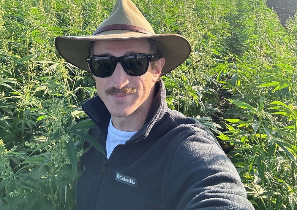 Plan to make hemp a mainstream crop in NSW a ‘monumental step forward’ for the industry