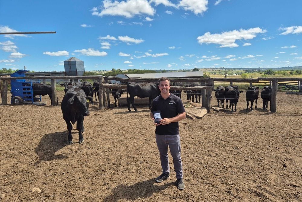 Noosa startup Provectus Algae raises US$12.6 million to scale up sustainable feed production