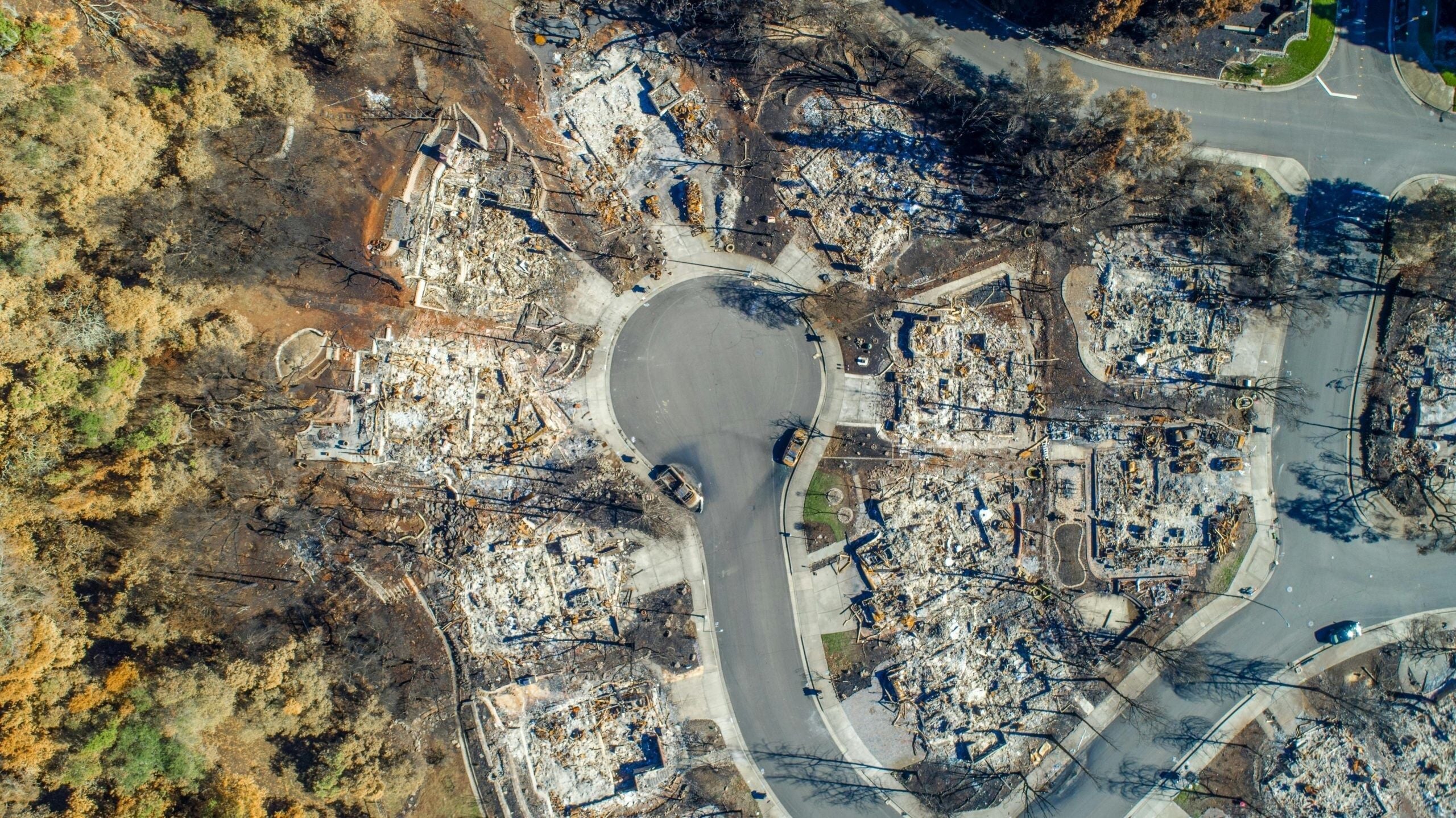 Sydney startup Archistar uses AI to fast-track rebuild after California wildfires