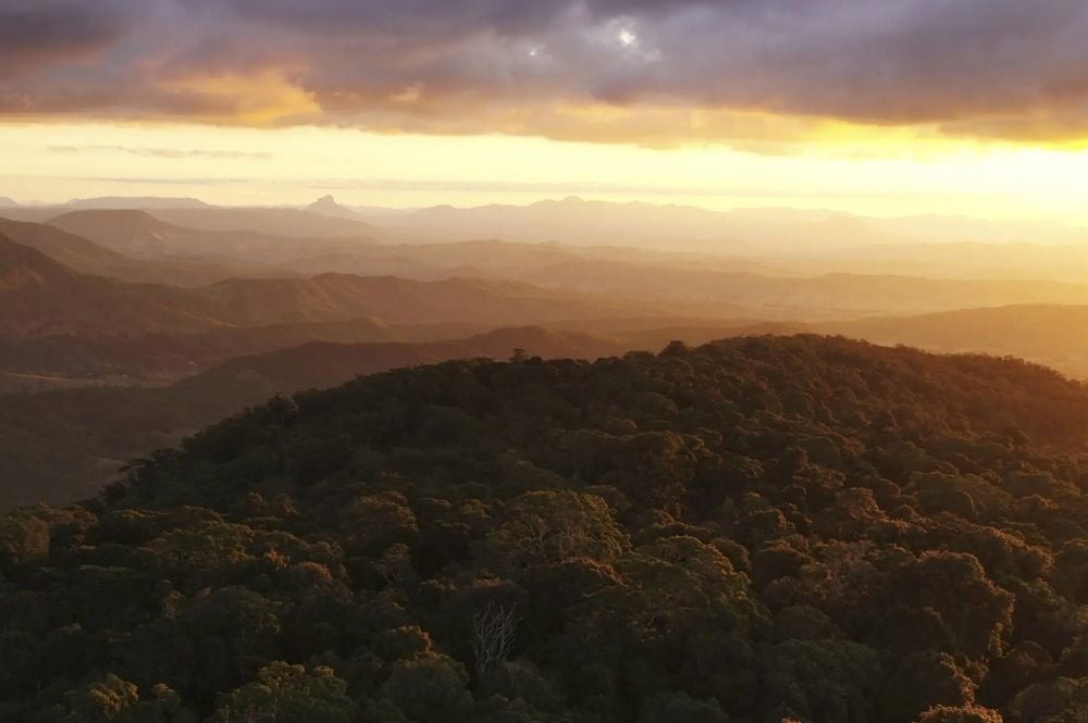 Netflix blockbuster The Mosquito Bowl set to give QLD economy an $80m boost