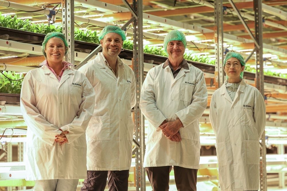 Robotic plant production startup Phyllome joins UQ, Pharmacare to develop functional foods
