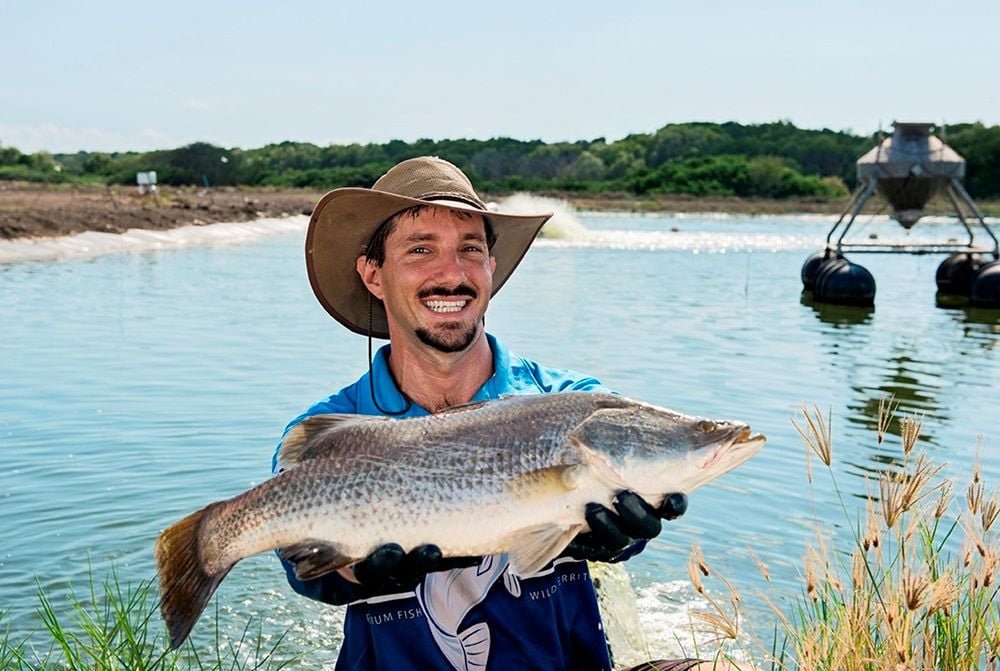 How Humpty Doo Barramundi went from a couple of ponds to becoming Australia's largest producer
