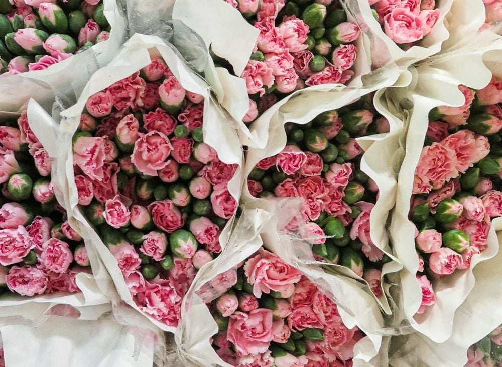 TPG-backed Asian producer Hasfarm makes $270m takeover play for flower wholesaler Lynch Group