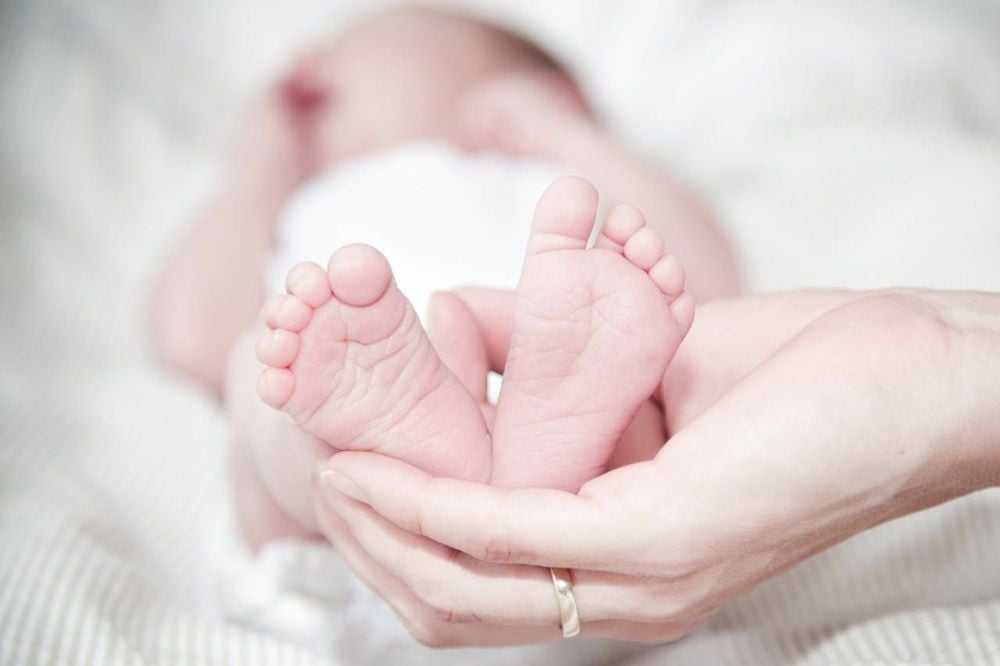 Independent report finds Monash IVF embryo mix-ups caused by &lsquo;human error and IT limitations&rsquo;