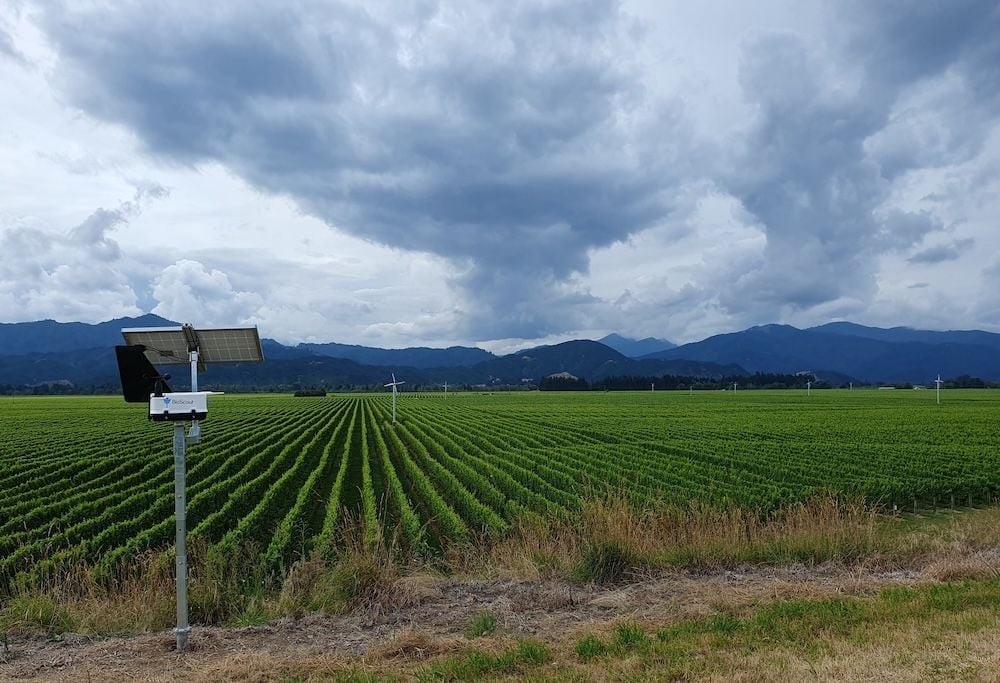 BioScout secures Hort Innovation funding to expand world-first disease detection tech