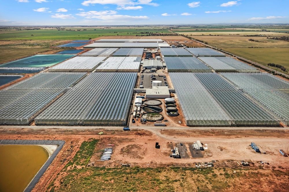Centuria boosts agricultural footprint with $168m acquisition of Australia’s largest glasshouse