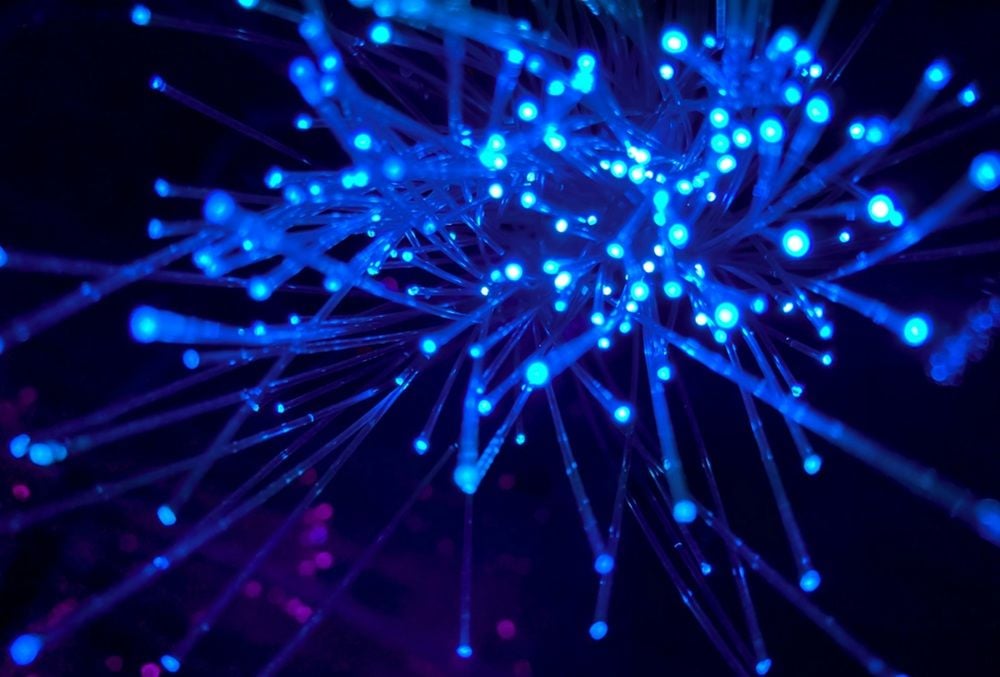 Voluntary administrators appointed to IoT telco Thinxtra just two years after $5m pre-IPO raise