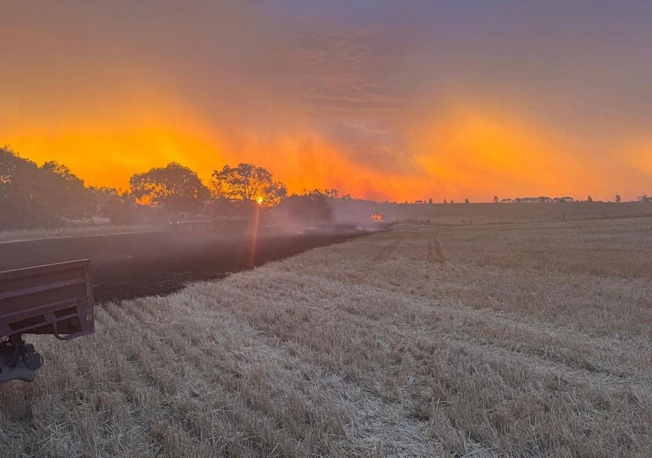 Fire-ravaged Victorian communities get $19.5m federal and state lifeline