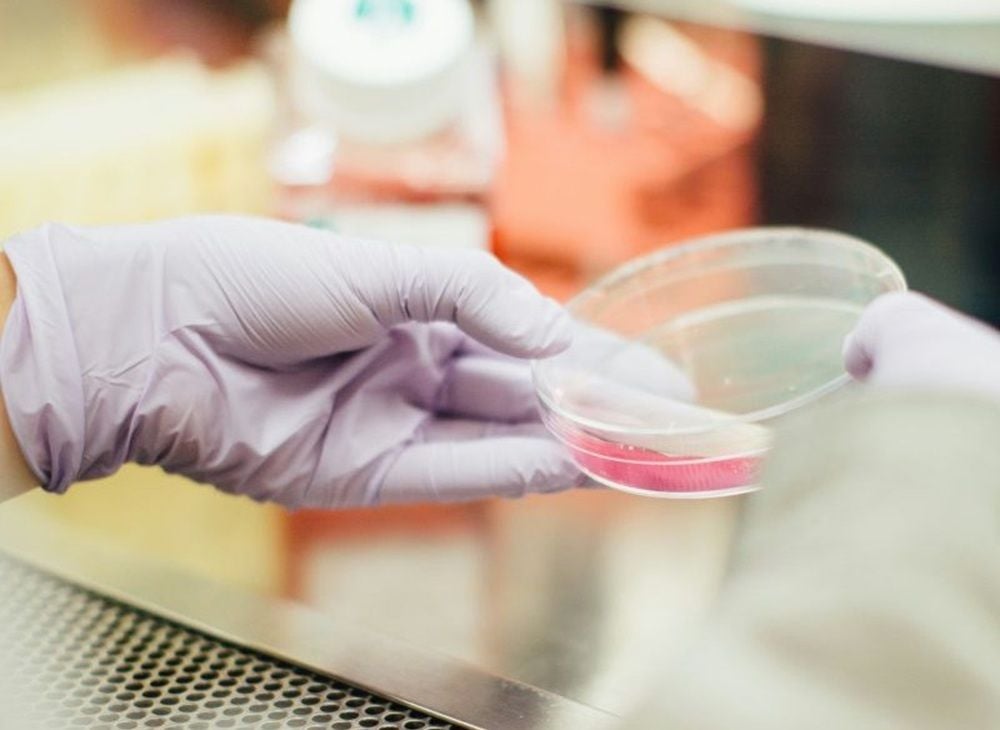 BlinkLab raises $17.5m to fund FDA autism diagnostic trial and ADHD expansion