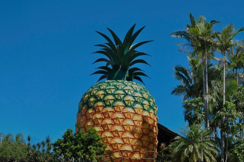 Big Pineapple secures $5m Queensland Government grant for Sunshine Coast tourism overhaul