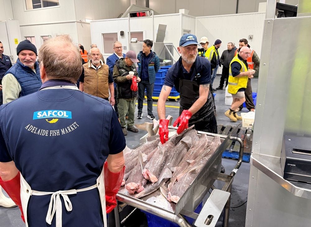 Safcol Australia opens $11m purpose-built fish market as Adelaide manufacturer ramps up investment