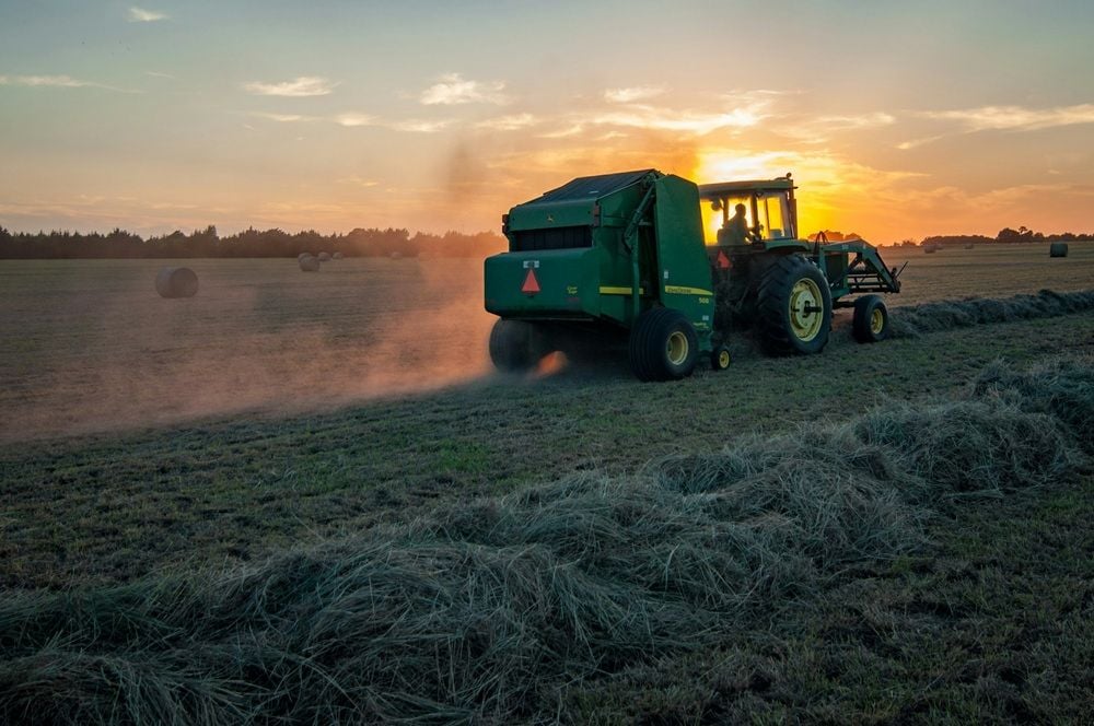 Australia's $21b regional data centre land opportunity 'puts pressure on productive farmland'