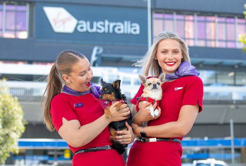 Virgin expands popular Pets in Cabin network to Adelaide as nearly 1,500 animals take flight