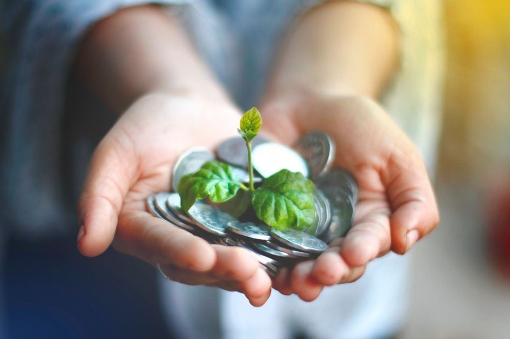 Australia's equity crowdfunding market storms back with $40.6 million raised in FY26