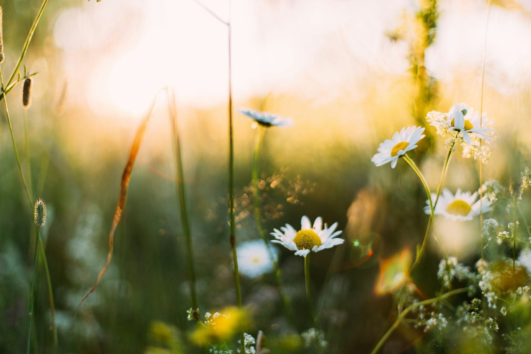 Spring clean your business: A legal health checklist for growth