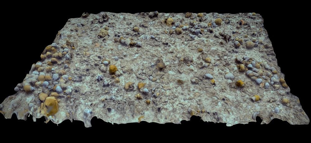 3DA Digital Twin of Hall Bank Seabed with Data Provided by Hydrus