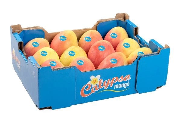 Perfection Fresh intends to grow a counter-seasonal Calypso mango program for the US market. 