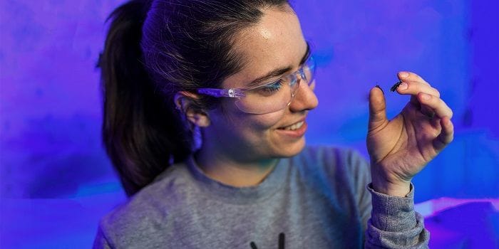 Entomologist Marianne Coquilleau with a Black Soldier Fly.