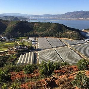 Costa Group (CGC) Costa Group (CGC)