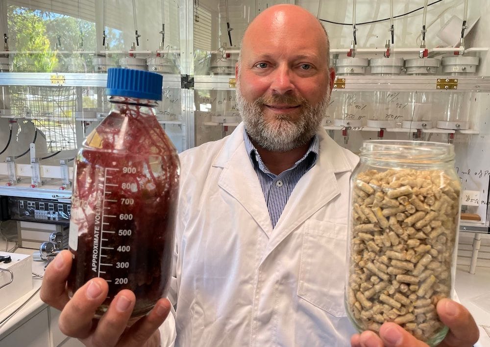 Seastock founder and CEO Tom Puddy captured with the asparagopsis.