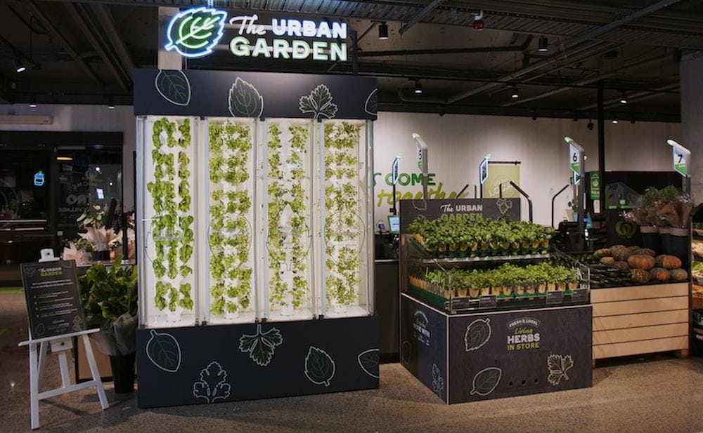 “The Urban Garden” at Woolworth’s Metro Park Sydney Village store.