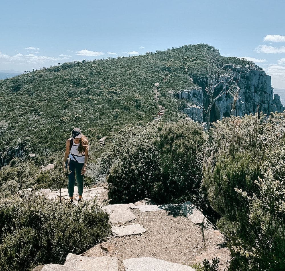 Trail Pants - Green  Sustainable Australian Hiking Pants - Amble Outdoors