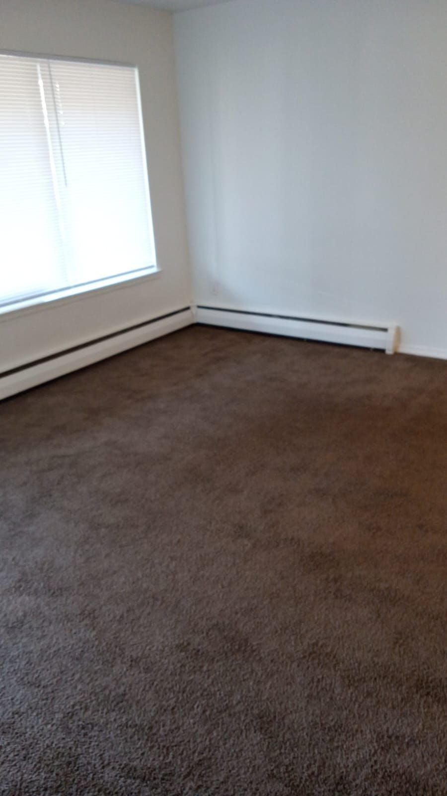 Colonial Manor Apartments Courtyard Image -65e726ddc9b56