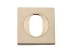 Oval Escutcheon Square Pair Brushed Brass
